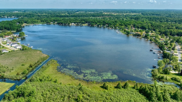 8020 Greenes Dr, Jackson, MI 49201 - bird's eye view of a large body of water