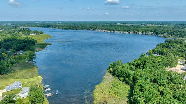 8020 Greenes Dr, Jackson, MI 49201 - aerial view of property and surrounding area with a nearby body of water and a heavily wooded area