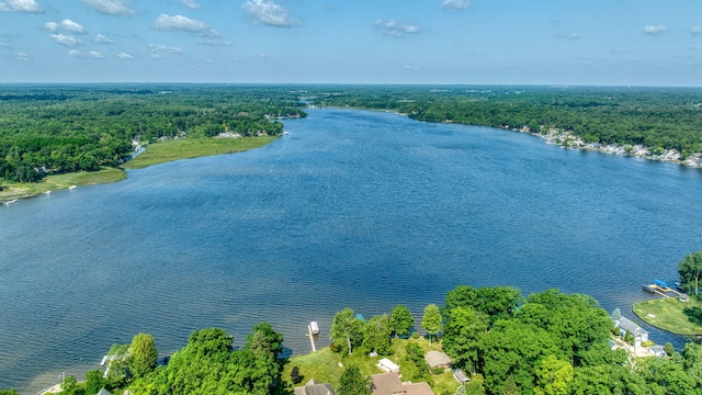 8020 Greenes Dr, Jackson, MI 49201 - aerial view of a heavily wooded area and a nearby body of water