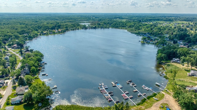 8020 Greenes Dr, Jackson, MI 49201 - bird's eye view of a nearby body of water and a forest