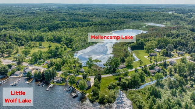 8020 Greenes Dr, Jackson, MI 49201 - aerial overview of property's location featuring a forest and a large body of water