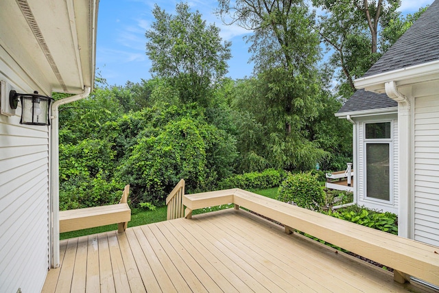 113 Quiet Creek Cir, Chelsea, MI 48118 - photo 17