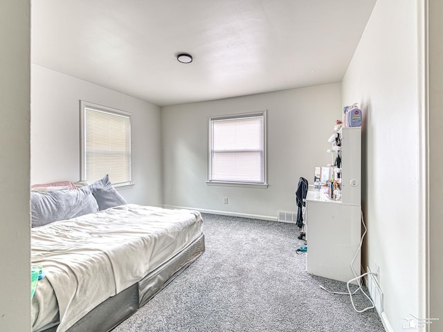 926 E Front St, Monroe, MI 48161 - bedroom with carpet and baseboards