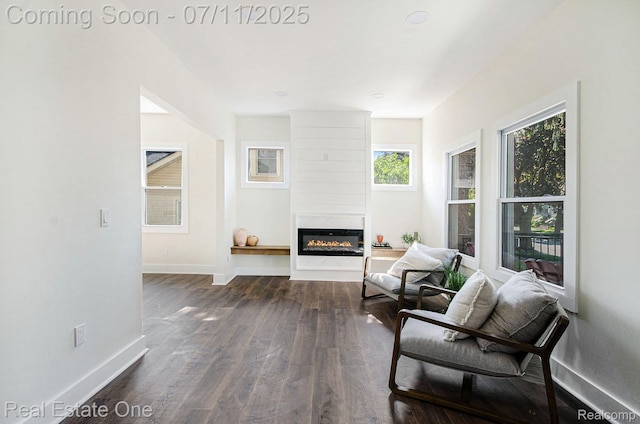 271 College St, Southfield, MI 48220 - living area with dark wood-style flooring and a large fireplace