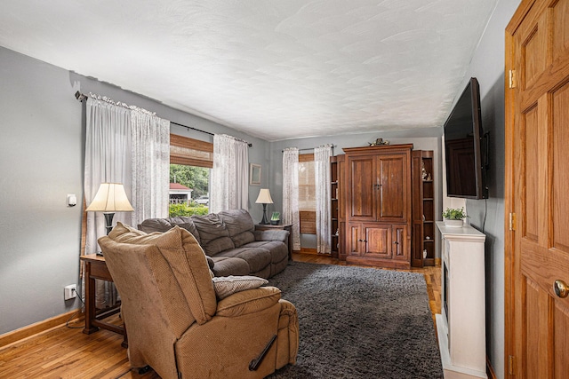 1109 Goguac St W, Battle Creek, MI 49015 - living area with light wood finished floors and baseboards