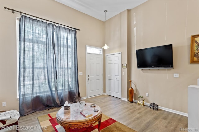 22145 W Village Dr, Dearborn, MI 48124 - living area featuring light wood finished floors and a high ceiling