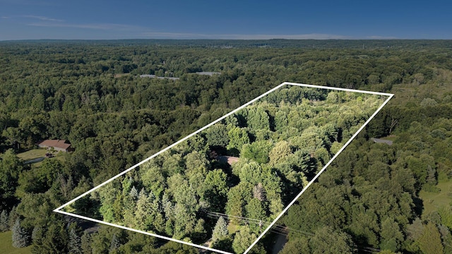 45745 County Road 652, Mattawan, MI 49071 - aerial overview of property's location featuring a forest and property parcel outlined