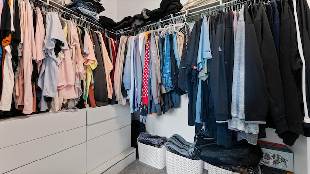 3850 Diuble Rd, Ann Arbor, MI 48103 - walk in closet featuring carpet