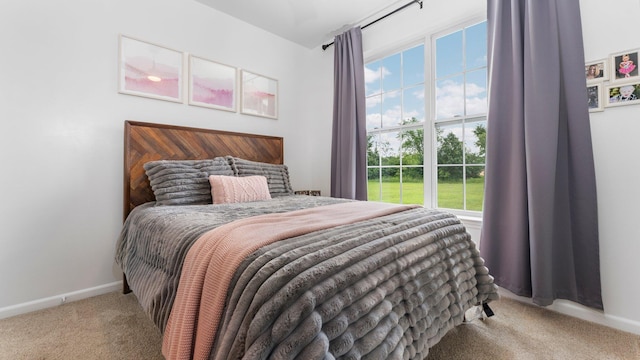 3850 Diuble Rd, Ann Arbor, MI 48103 - bedroom with carpet flooring and multiple windows