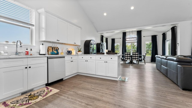 3850 Diuble Rd, Ann Arbor, MI 48103 - kitchen with stainless steel dishwasher, a peninsula, open floor plan, healthy amount of natural light, and recessed lighting