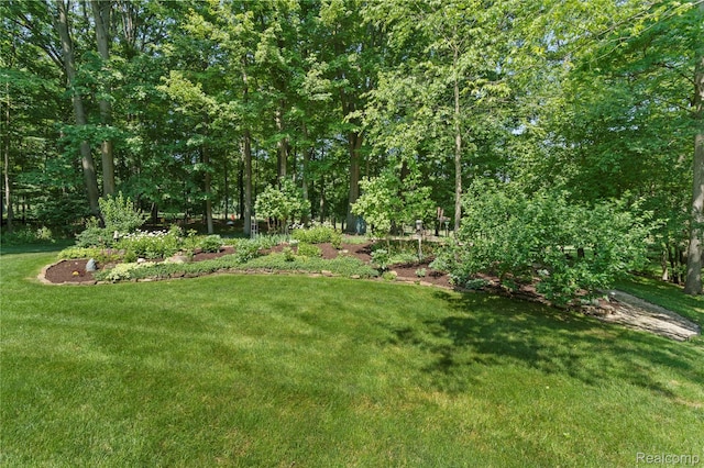 3319 N Tipsico Lake Rd, Hartland, MI 48353 - photo 60