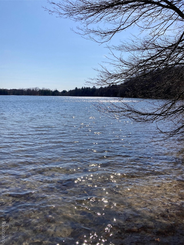 3319 N Tipsico Lake Rd, Hartland, MI 48353 - photo 63