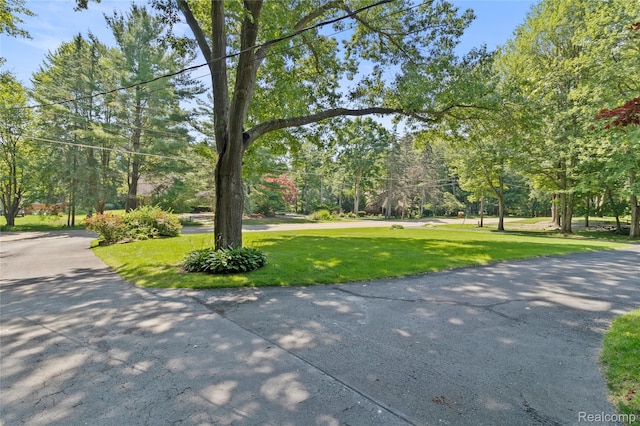 3319 N Tipsico Lake Rd, Hartland, MI 48353 - photo 43