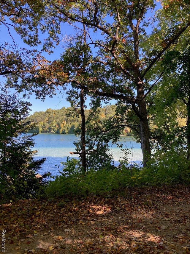 3319 N Tipsico Lake Rd, Hartland, MI 48353 - photo 65