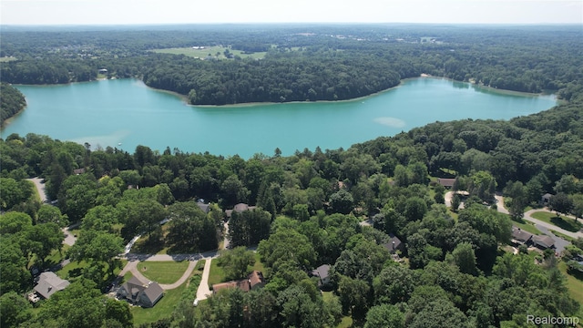 3319 N Tipsico Lake Rd, Hartland, MI 48353 - photo 70