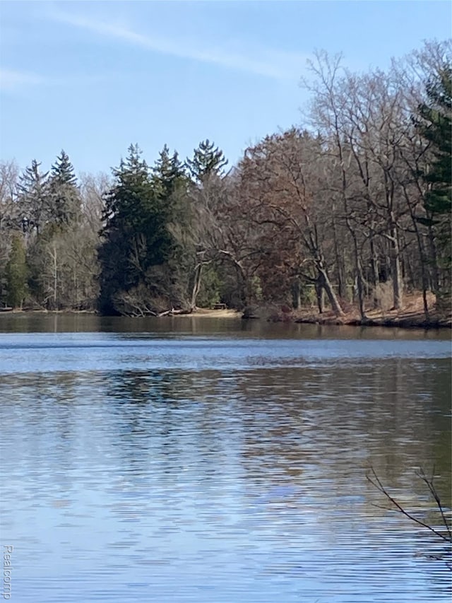 3319 N Tipsico Lake Rd, Hartland, MI 48353 - photo 64