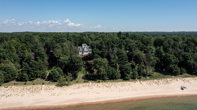 4569 N Ridge Rd, Mears, MI 49436 - aerial view of a forest