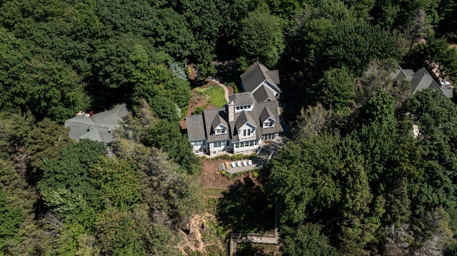 4569 N Ridge Rd, Mears, MI 49436 - drone / aerial view of a heavily wooded area