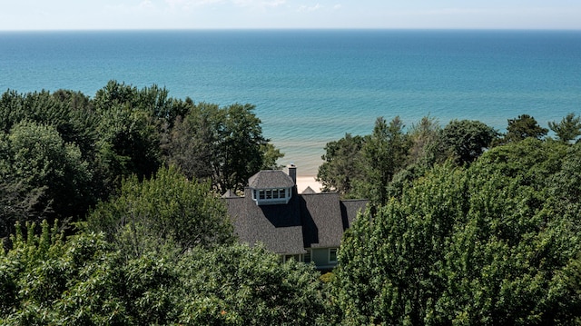4569 N Ridge Rd, Mears, MI 49436 - view of subject property with a large body of water