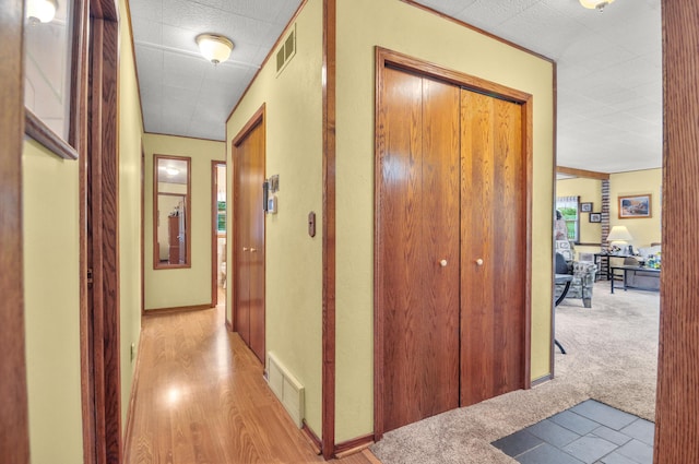 3914 135th Ave, Hersey, MI 49639 - corridor with carpet flooring