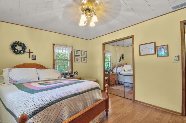 3914 135th Ave, Hersey, MI 49639 - bedroom with a closet and light wood-style flooring