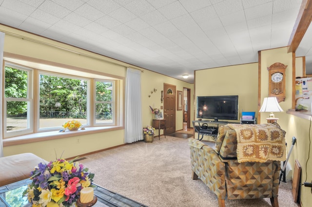 3914 135th Ave, Hersey, MI 49639 - view of carpeted living room