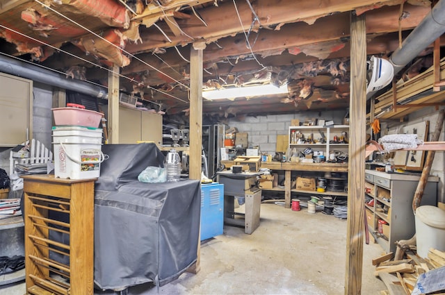 3914 135th Ave, Hersey, MI 49639 - unfinished below grade area with concrete block wall