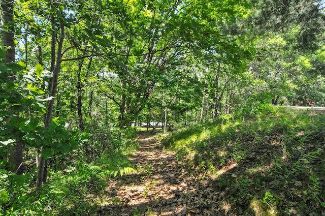 3914 135th Ave, Hersey, MI 49639 - view of wooded area