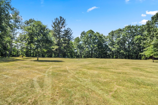 3914 135th Ave, Hersey, MI 49639 - view of green lawn