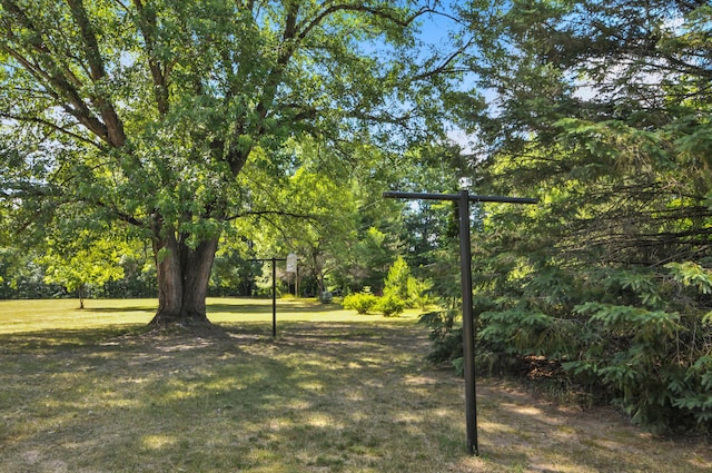 3914 135th Ave, Hersey, MI 49639 - view of grassy yard