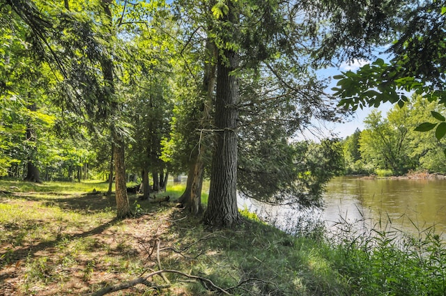 3914 135th Ave, Hersey, MI 49639 - view of woods featuring a water view
