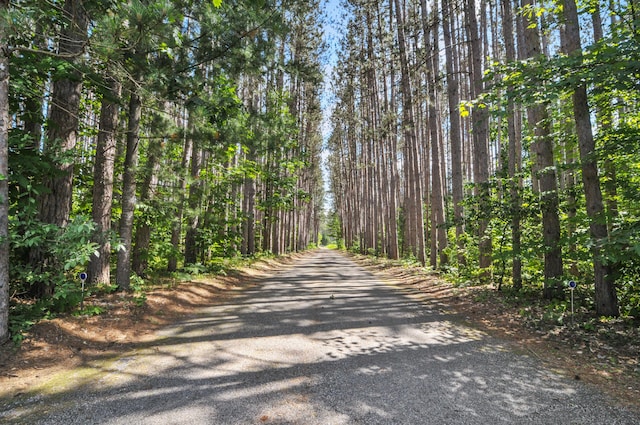 3914 135th Ave, Hersey, MI 49639 - view of street featuring a wooded view