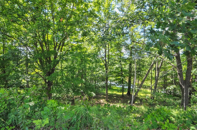 3914 135th Ave, Hersey, MI 49639 - view of wooded area