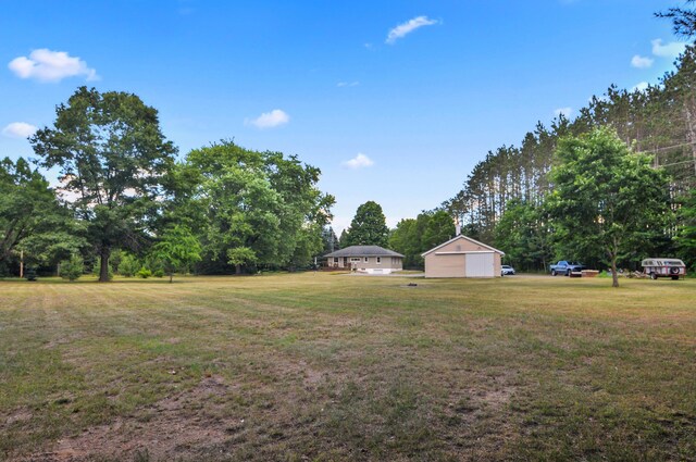 3914 135th Ave, Hersey, MI 49639 - view of grassy yard featuring a detached garage and view of scattered trees