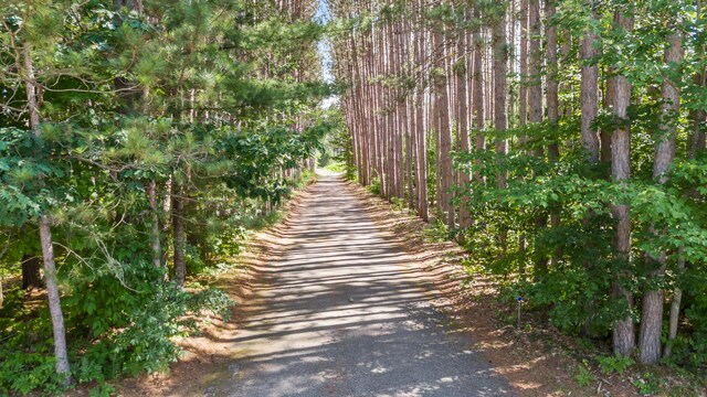 3914 135th Ave, Hersey, MI 49639 - view of road featuring a wooded view