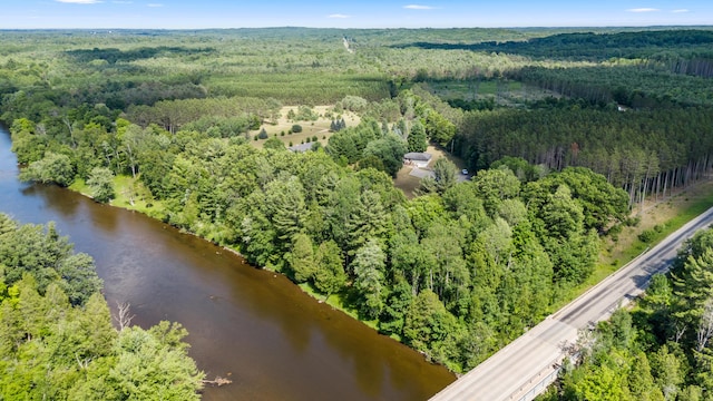 3914 135th Ave, Hersey, MI 49639 - aerial view of property and surrounding area featuring a heavily wooded area and a large body of water