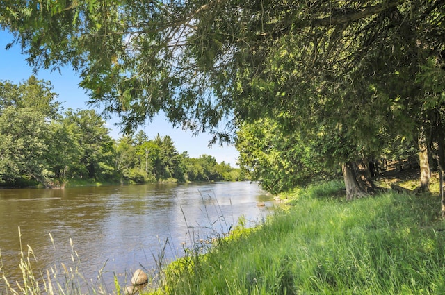3914 135th Ave, Hersey, MI 49639 - water view with a forest