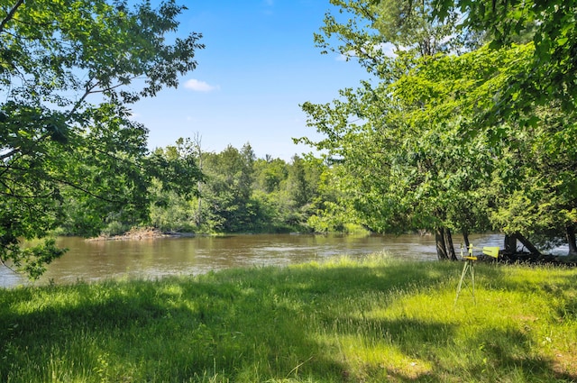 3914 135th Ave, Hersey, MI 49639 - water view with a heavily wooded area