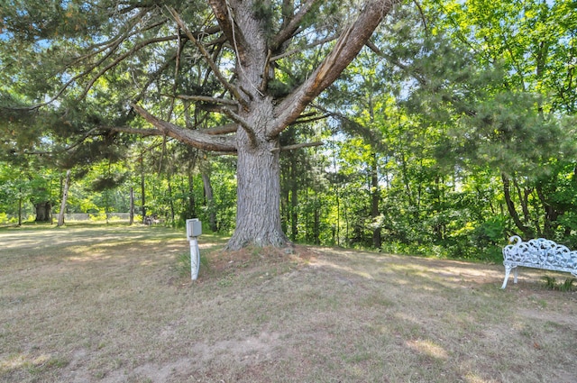 3914 135th Ave, Hersey, MI 49639 - view of yard