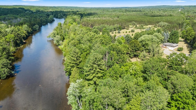 3914 135th Ave, Hersey, MI 49639 - aerial view of a heavily wooded area and a large body of water