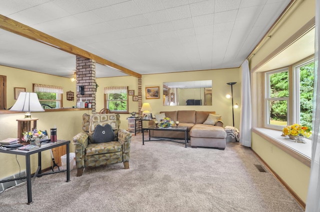 3914 135th Ave, Hersey, MI 49639 - carpeted living room featuring plenty of natural light and decorative columns