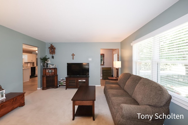 8179 Mellowwood Dr, Jenison, MI 49428 - living area with plenty of natural light and light colored carpet