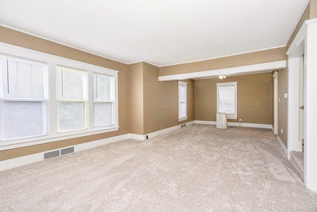 240 Stillwell Ave, Michigan Center, MI 49254 - empty room featuring light carpet, ornamental molding, and healthy amount of natural light
