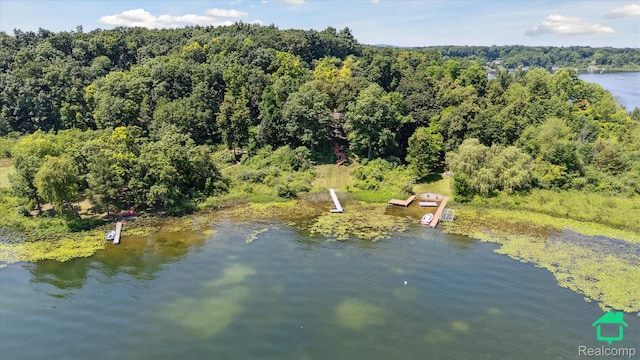 2340 Lakeview Dr, Brooklyn, MI 49230 - bird's eye view of a forest and a nearby body of water