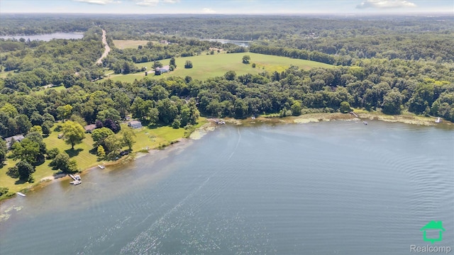 2340 Lakeview Dr, Brooklyn, MI 49230 - drone / aerial view of a nearby body of water