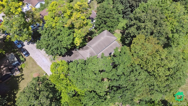 2340 Lakeview Dr, Brooklyn, MI 49230 - aerial overview of property's location