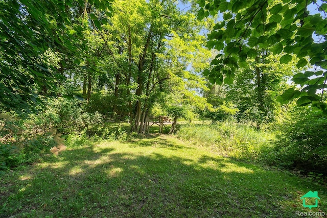 2340 Lakeview Dr, Brooklyn, MI 49230 - view of grassy yard