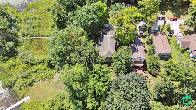 2340 Lakeview Dr, Brooklyn, MI 49230 - drone / aerial view