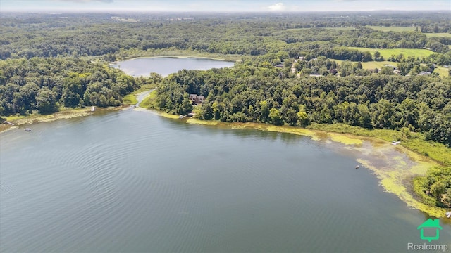 2340 Lakeview Dr, Brooklyn, MI 49230 - aerial view of a heavily wooded area and a large body of water