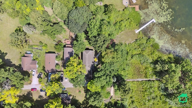2340 Lakeview Dr, Brooklyn, MI 49230 - drone / aerial view